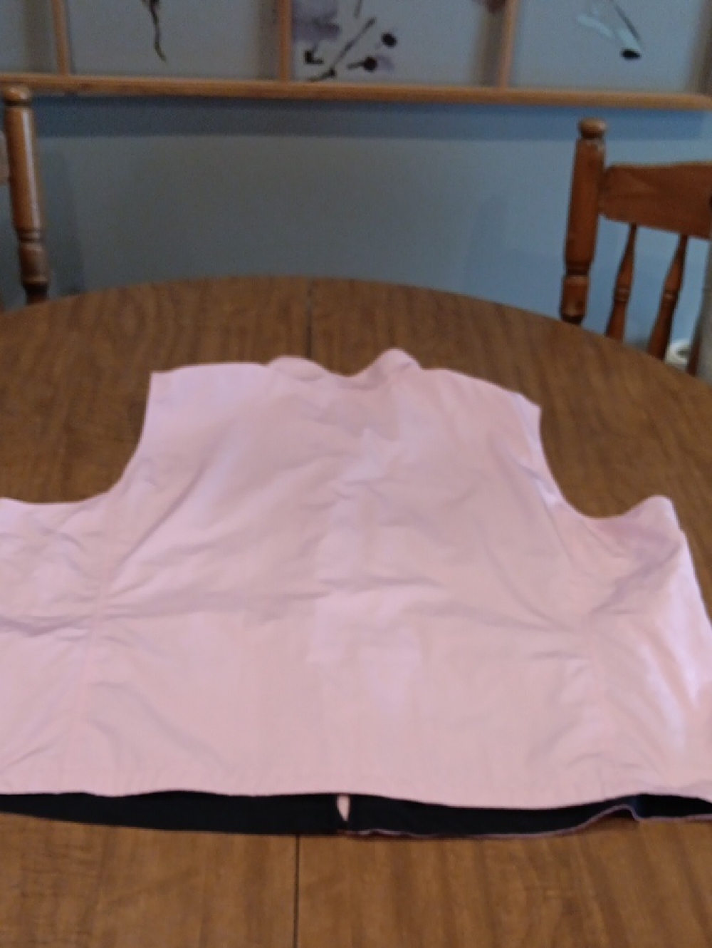 Light Pink Sleeveless Zip Front Vest - Picture 4 of 4